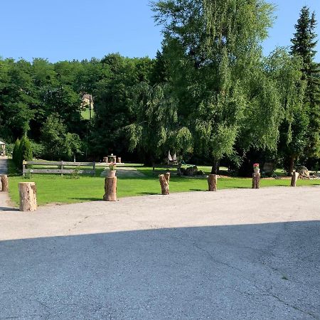 Landgasthof Steinmuehl Hofbauer Fruehstueckspension Und Campingplatz Waidhofen an der Ybbs Εξωτερικό φωτογραφία