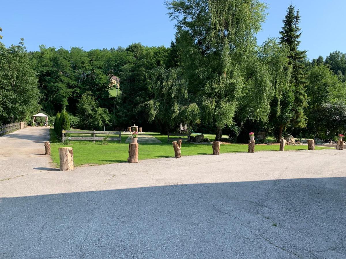 Landgasthof Steinmuehl Hofbauer Fruehstueckspension Und Campingplatz Waidhofen an der Ybbs Εξωτερικό φωτογραφία