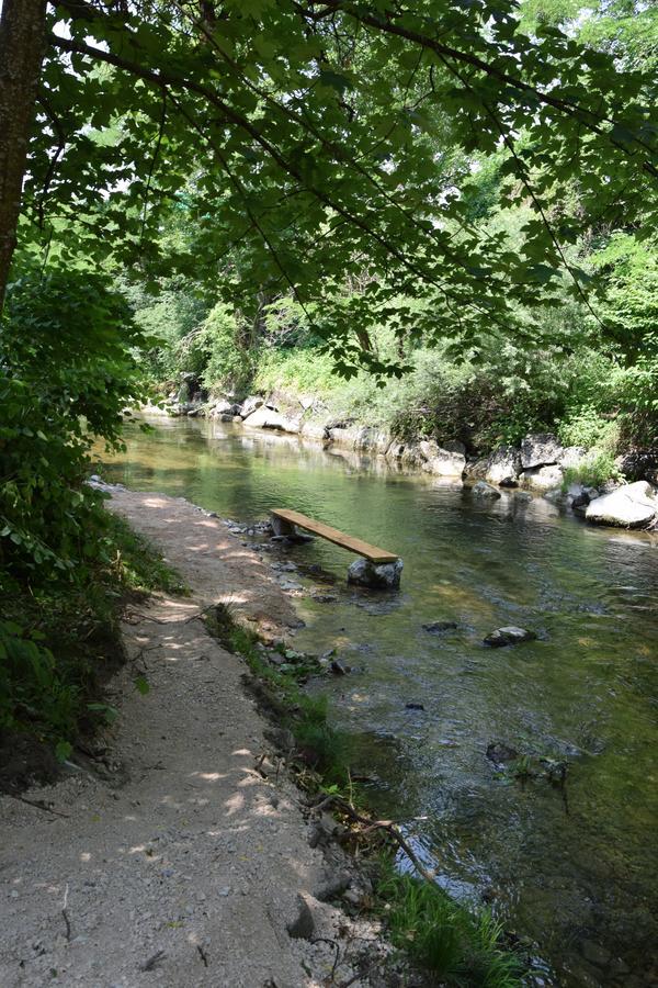 Landgasthof Steinmuehl Hofbauer Fruehstueckspension Und Campingplatz Waidhofen an der Ybbs Εξωτερικό φωτογραφία